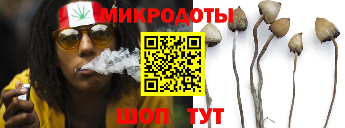 Галлюциногенные грибы MAGIC MUSHROOMS  Вход с VPN  где найти   Троицк 